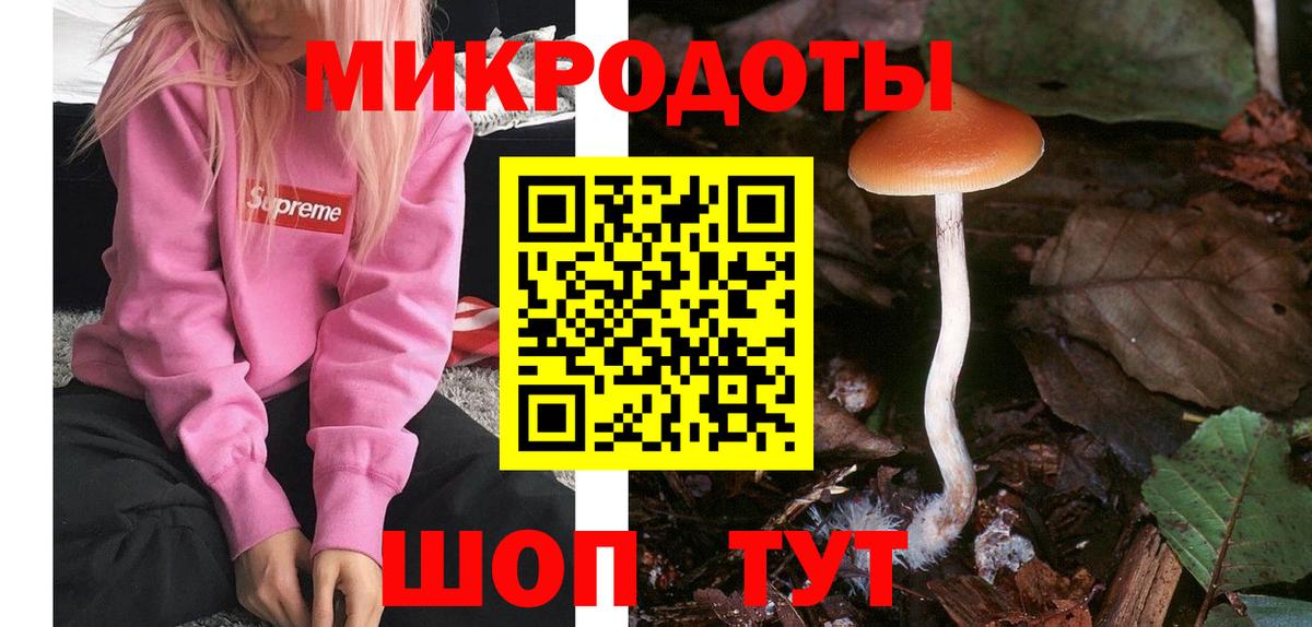 Владивосток  Галлюциногенные грибы Cubensis  Вход с VPN 