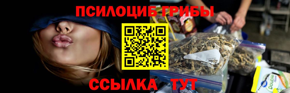 Псилоцибиновые грибы ЛСД Владивосток